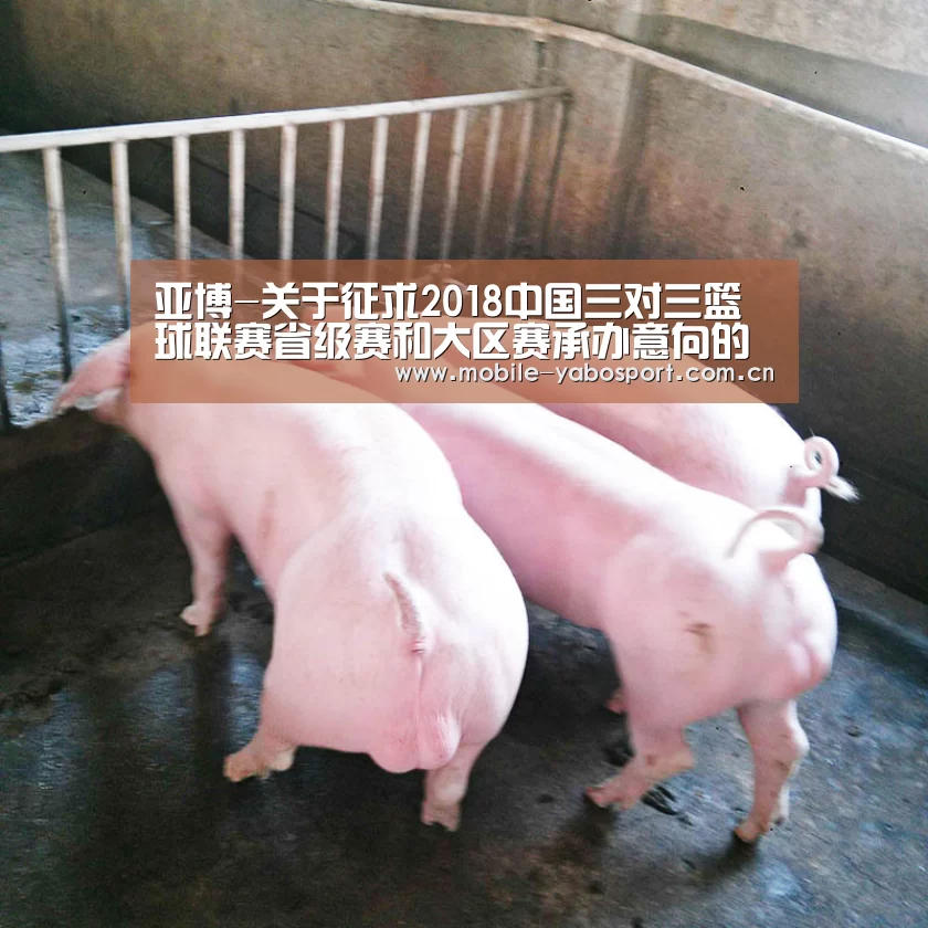 亚博官网