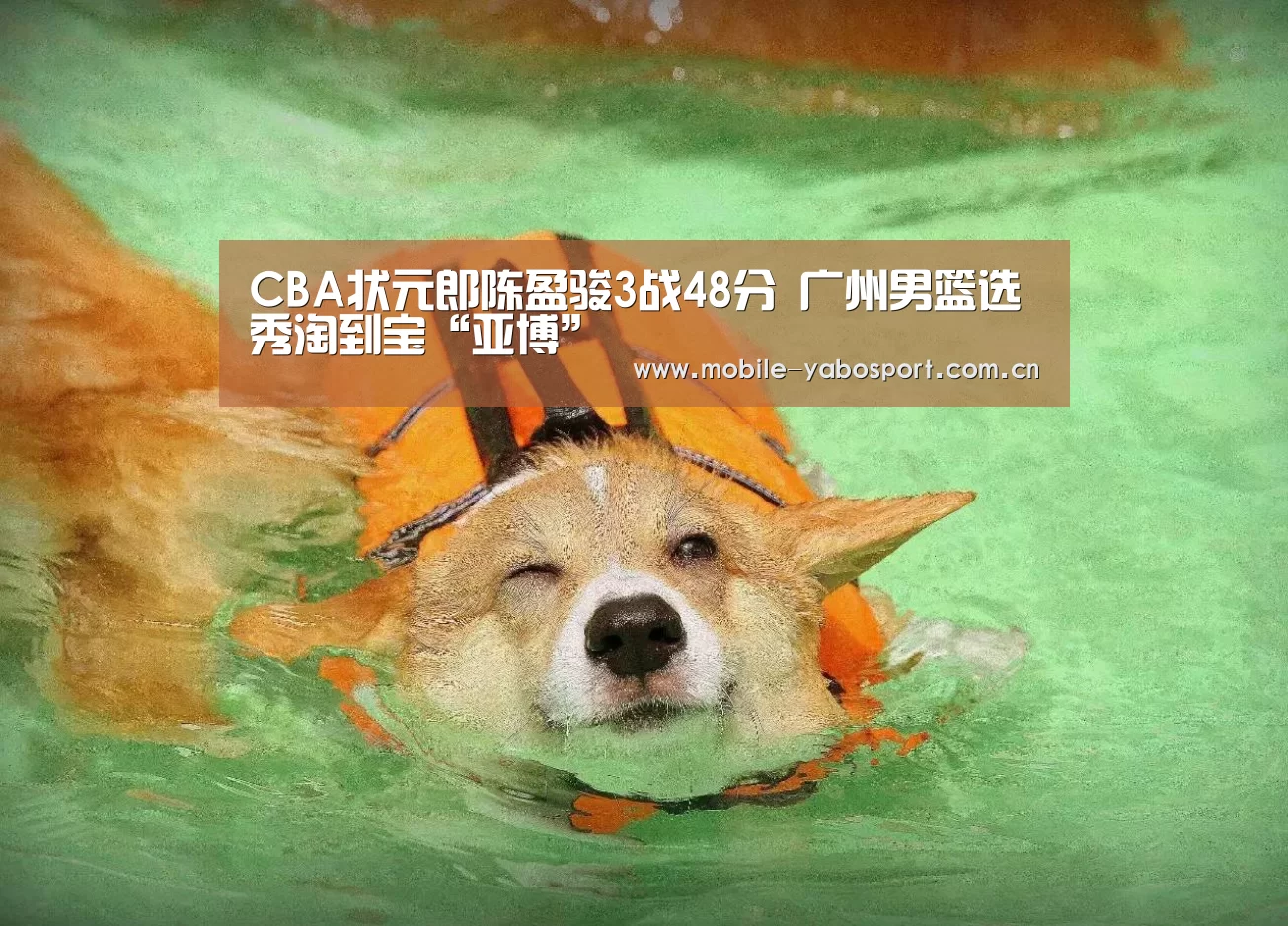亚博平台