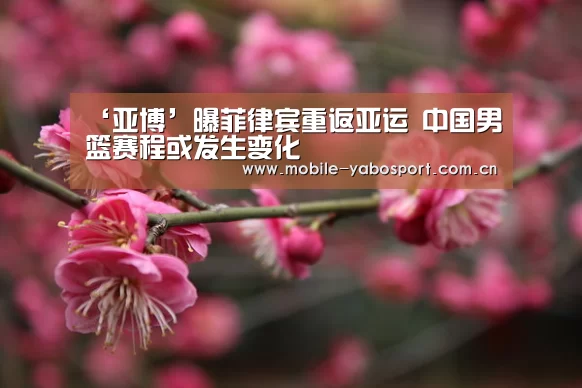 ‘亚博’曝菲律宾重返亚运 中国男篮赛程或发生变化(图1) 亚博平台