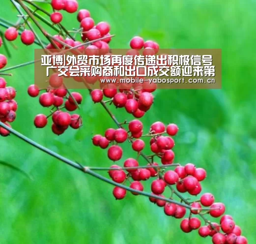 亚博|外贸市场再度传递出积极信号 广交会采购商和出口成交额迎来第5次“双增长”(图1) 亚博体育