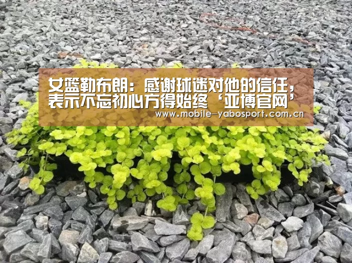 亚博